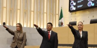 Impulsan exhorto para proteger zonas citrícolas, contra plaga del “Dragón Amarillo”
