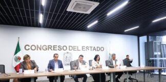 En Comisión del Congreso, aprueban exhorto para combatir la plaga del dragón amarillo y gusano barrenador