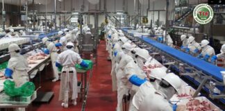 Planta Procesadora de Carne de Cerdo de Granjas Carroll cumple 6 años con altos estándares de calidad