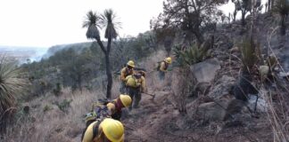 Controlan incendios forestales en Tlachichuca y Libres; reconocen labor de brigadistas