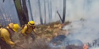 Avanza el control del incendio forestal en Tlachichuca