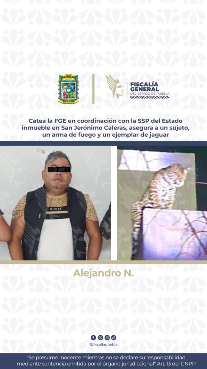 fge1-67eed1b84d725