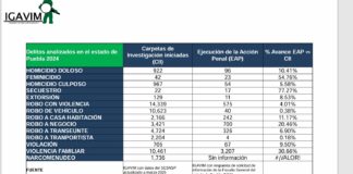 Crece la violencia familiar, extorsión y robo de vehículos en Puebla; feminicidios y homicidios bajan. IGAVIM