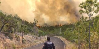 Suman 2ª aeronave contra incendio forestal en Libres