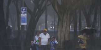 Sin afectaciones mayores por lluvias en el estado de Puebla