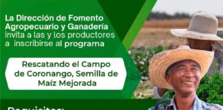 Abre gobierno de Coronango ventanilla para apoyo de semilla mejorada y fertilizante