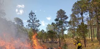 Un promedio de 22 incendios se reportan en San Andrés Cholula cada semana