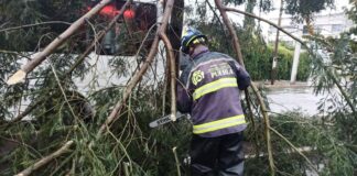 Lluvias y descargas eléctricas provocan caída de árboles en Puebla
