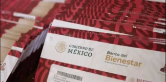 Inician pagos de becas del bimestre mayo-junio: aquí el calendario