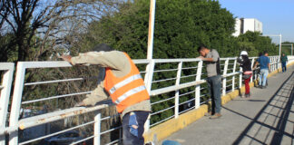 Puebla comienza mantenimiento de ciclovías; 10% listo