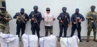 Mediante coordinación interinstitucional, fueron asegurados 65 kilogramos de marihuana
