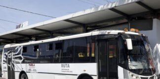 RUTA aumentará frecuencia en Línea 2 tras adquirir nuevas unidades