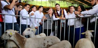 Fortalece Armenta Seguridad para el Campo en microrregión de Zacapoaxtla