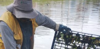 Brigadas de Agua de Puebla atienden 17 puntos de encharcamiento tras fuerte lluvia