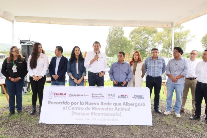 animal3