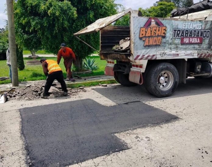 bache3