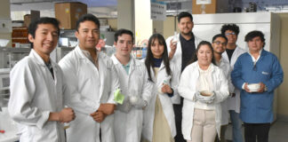 Investigadora de la BUAP obtiene patente por compuesto que reduce células malignas en cáncer de mama y cérvico uterino