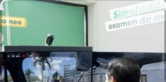 Retrasan la implementación de simuladores de manejo en Puebla por ajustes técnicos: SMT