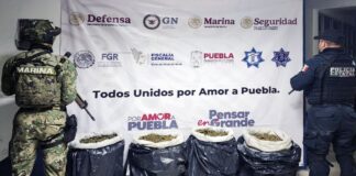 En Puebla, Policía Estatal combate la distribución de sustancias ilícitas