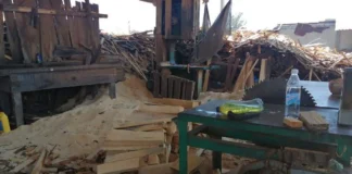 SEGOB investiga aserraderos clandestinos en Puebla