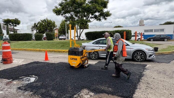 bache