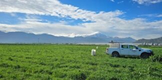 Impulsa Altosano Granjas Carroll la reconversión agrícola en Puebla y Veracruz