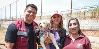 Cuautlancingo presenta cinco denuncias ante FGE por presunta crueldad: “el maltrato animal no tiene lugar”