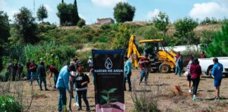 San Pedro Cholula refuerza su compromiso ambiental con segunda jornada de reforestación en el Cerro Zapotecas