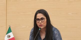 Proponen en el Congreso la creación de un “Fondo de Orfandad” para garantizar el bienestar de menores