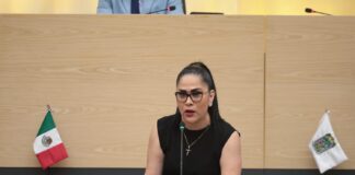 Impulsan en el Congreso medidas de seguridad en fraccionamientos