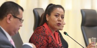 Diputada Celia Bonaga impulsa propuesta legislativa para establecer el “Mes de las Organizaciones No Gubernamentales”