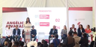 Cada iniciativa que presenté tuvo rostro, historia y propósito: Angélica Alvarado
