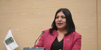Impulsa diputada Araceli Celestino medidas preventivas ante ofertas de empleo fraudulentas