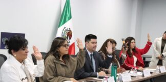 Comisión del Congreso exhorta a Ayuntamientos a adoptar energías renovables a favor del medio ambiente