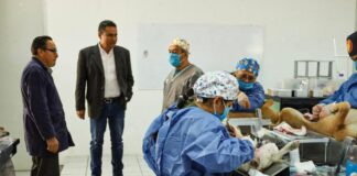 Armando Aguirre encabeza jornada de esterilización de mascotas en San Francisco Ocotlán