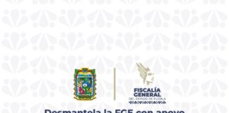 Desmantela la FGE con apoyo interinstitucional banda de presuntos narcomenudistas que operaba en Amozoc; detiene a seis personas y asegura droga e inmueble
