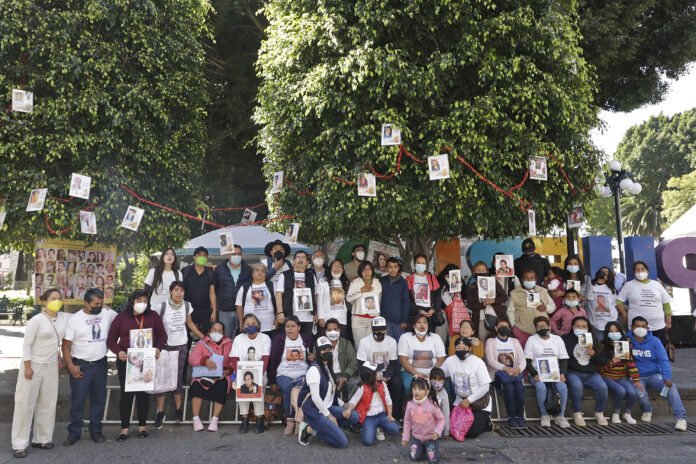 DESAPARECIDOS . ÁRBOL DE LA ESPERANZA