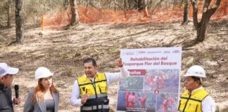Ecoparque “pensar en grande” será el bosque más grande del sur-sureste: Armenta Mier
