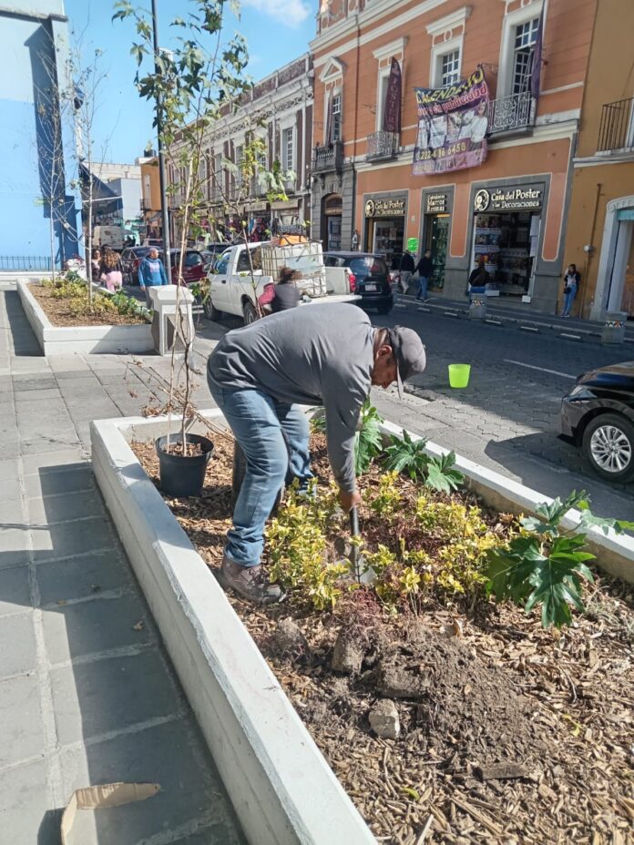 mantenimiento-puebla