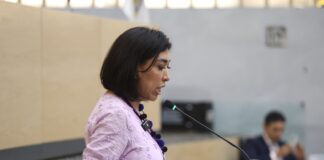 Aprueba Congreso reforma para suprimir el Instituto de Bienestar Animal y trasladar sus funciones al SEDIF