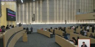 SEDIF asumirá las funciones del Instituto del Bienestar Animal