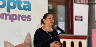 Secretaría de Bienestar impulsa adopción responsable y empatía hacia los seres sintientes
