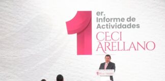 Desmarca Armenta a Ceci Arellano de la política rumbo al 27