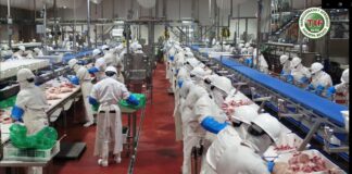 Mantiene crecimiento Planta Procesadora de Carne de Altosano-Granjas Carroll