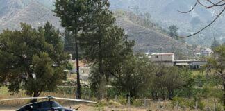 Zautla resiste al fuego; brigadas logran 80% de control