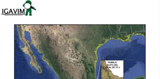 IGAVIM: Puebla lidera robo de gas LP y repunta en hidrocarburos