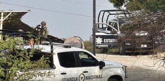 Cae presunto implicado en masacre de Tehuitzingo; integrante de “Los Chetos”