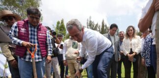 Avanza Pepe Chedraui en la recuperación de áreas verdes con “Raíces del Futuro”