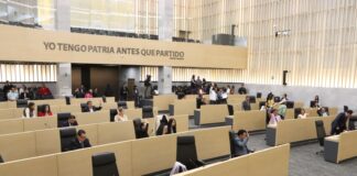 Impulsa diputada Graciela Palomares exhorto para visibilizar, reconocer y dignificar el trabajo doméstico y de cuidados