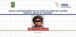 Impone autoridad judicial más de 11 años de prisión por crueldad animal en agravio de “Huesitos”